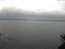 ./images/koeye/fitz-hugh/20150523/fitz-hugh20150523_053303.jpg