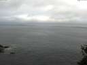 ./images/koeye/fitz-hugh/20150523/fitz-hugh20150523_060301.jpg
