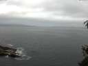./images/koeye/fitz-hugh/20150523/fitz-hugh20150523_073301.jpg