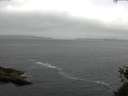 ./images/koeye/fitz-hugh/20150523/fitz-hugh20150523_080003.jpg