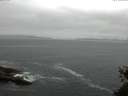 ./images/koeye/fitz-hugh/20150523/fitz-hugh20150523_080301.jpg