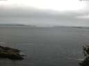 ./images/koeye/fitz-hugh/20150523/fitz-hugh20150523_083301.jpg
