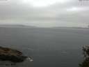 ./images/koeye/fitz-hugh/20150523/fitz-hugh20150523_090302.jpg