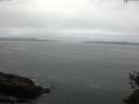 ./images/koeye/fitz-hugh/20150523/fitz-hugh20150523_093303.jpg