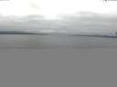 ./images/koeye/fitz-hugh/20150523/fitz-hugh20150523_110303.jpg