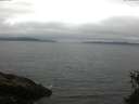 ./images/koeye/fitz-hugh/20150523/fitz-hugh20150523_121506.jpg