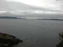 ./images/koeye/fitz-hugh/20150523/fitz-hugh20150523_130302.jpg