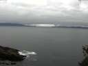 ./images/koeye/fitz-hugh/20150523/fitz-hugh20150523_140003.jpg