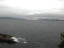 ./images/koeye/fitz-hugh/20150523/fitz-hugh20150523_143301.jpg