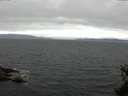 ./images/koeye/fitz-hugh/20150523/fitz-hugh20150523_160302.jpg