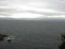 ./images/koeye/fitz-hugh/20150523/fitz-hugh20150523_170302.jpg
