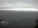 ./images/koeye/fitz-hugh/20150523/fitz-hugh20150523_180303.jpg