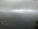 ./images/koeye/fitz-hugh/20150524/fitz-hugh20150524_060302.jpg