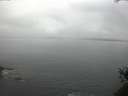 ./images/koeye/fitz-hugh/20150524/fitz-hugh20150524_063302.jpg
