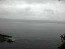 ./images/koeye/fitz-hugh/20150524/fitz-hugh20150524_080005.jpg