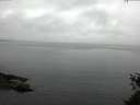 ./images/koeye/fitz-hugh/20150524/fitz-hugh20150524_080301.jpg