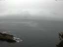 ./images/koeye/fitz-hugh/20150524/fitz-hugh20150524_090302.jpg