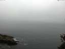./images/koeye/fitz-hugh/20150524/fitz-hugh20150524_100006.jpg
