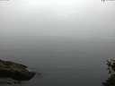 ./images/koeye/fitz-hugh/20150524/fitz-hugh20150524_100303.jpg