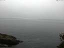 ./images/koeye/fitz-hugh/20150524/fitz-hugh20150524_103302.jpg
