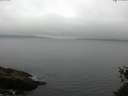 ./images/koeye/fitz-hugh/20150524/fitz-hugh20150524_110302.jpg