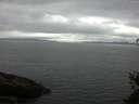 ./images/koeye/fitz-hugh/20150524/fitz-hugh20150524_140005.jpg
