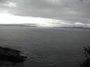 ./images/koeye/fitz-hugh/20150524/fitz-hugh20150524_143301.jpg