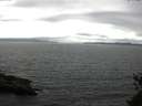 ./images/koeye/fitz-hugh/20150524/fitz-hugh20150524_153302.jpg