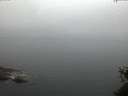 ./images/koeye/fitz-hugh/20150525/fitz-hugh20150525_050302.jpg