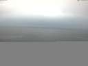 ./images/koeye/fitz-hugh/20150525/fitz-hugh20150525_060301.jpg