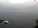 ./images/koeye/fitz-hugh/20150525/fitz-hugh20150525_063302.jpg