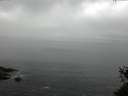 ./images/koeye/fitz-hugh/20150525/fitz-hugh20150525_073302.jpg
