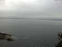./images/koeye/fitz-hugh/20150525/fitz-hugh20150525_083302.jpg