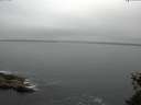 ./images/koeye/fitz-hugh/20150525/fitz-hugh20150525_090302.jpg