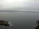 ./images/koeye/fitz-hugh/20150525/fitz-hugh20150525_093303.jpg