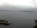./images/koeye/fitz-hugh/20150525/fitz-hugh20150525_100302.jpg