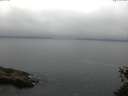 ./images/koeye/fitz-hugh/20150525/fitz-hugh20150525_103302.jpg