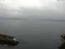 ./images/koeye/fitz-hugh/20150525/fitz-hugh20150525_110302.jpg