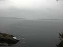 ./images/koeye/fitz-hugh/20150525/fitz-hugh20150525_113303.jpg