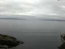 ./images/koeye/fitz-hugh/20150525/fitz-hugh20150525_121506.jpg