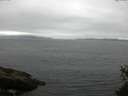 ./images/koeye/fitz-hugh/20150525/fitz-hugh20150525_133301.jpg