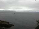 ./images/koeye/fitz-hugh/20150525/fitz-hugh20150525_140301.jpg