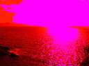 ./images/koeye/fitz-hugh/20150525/fitz-hugh20150525_173302.jpg