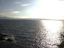 ./images/koeye/fitz-hugh/20150525/fitz-hugh20150525_180302.jpg