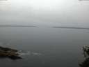 ./images/koeye/fitz-hugh/20150526/fitz-hugh20150526_050303.jpg