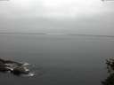 ./images/koeye/fitz-hugh/20150526/fitz-hugh20150526_060006.jpg