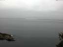 ./images/koeye/fitz-hugh/20150526/fitz-hugh20150526_060302.jpg