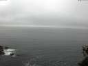./images/koeye/fitz-hugh/20150526/fitz-hugh20150526_080006.jpg
