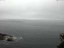 ./images/koeye/fitz-hugh/20150526/fitz-hugh20150526_083302.jpg