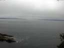 ./images/koeye/fitz-hugh/20150526/fitz-hugh20150526_100303.jpg